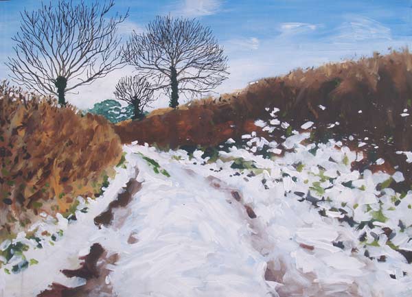 Febuary-Snow-Lane-I-Dartmoor