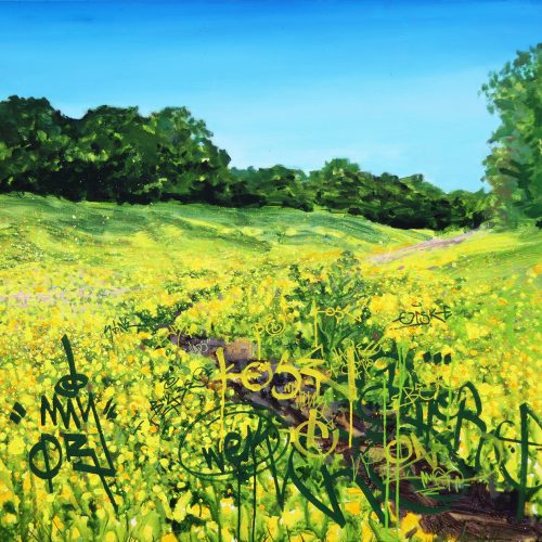 Fordlands Brook by Landscape-Graffiti Artist Joe Webster