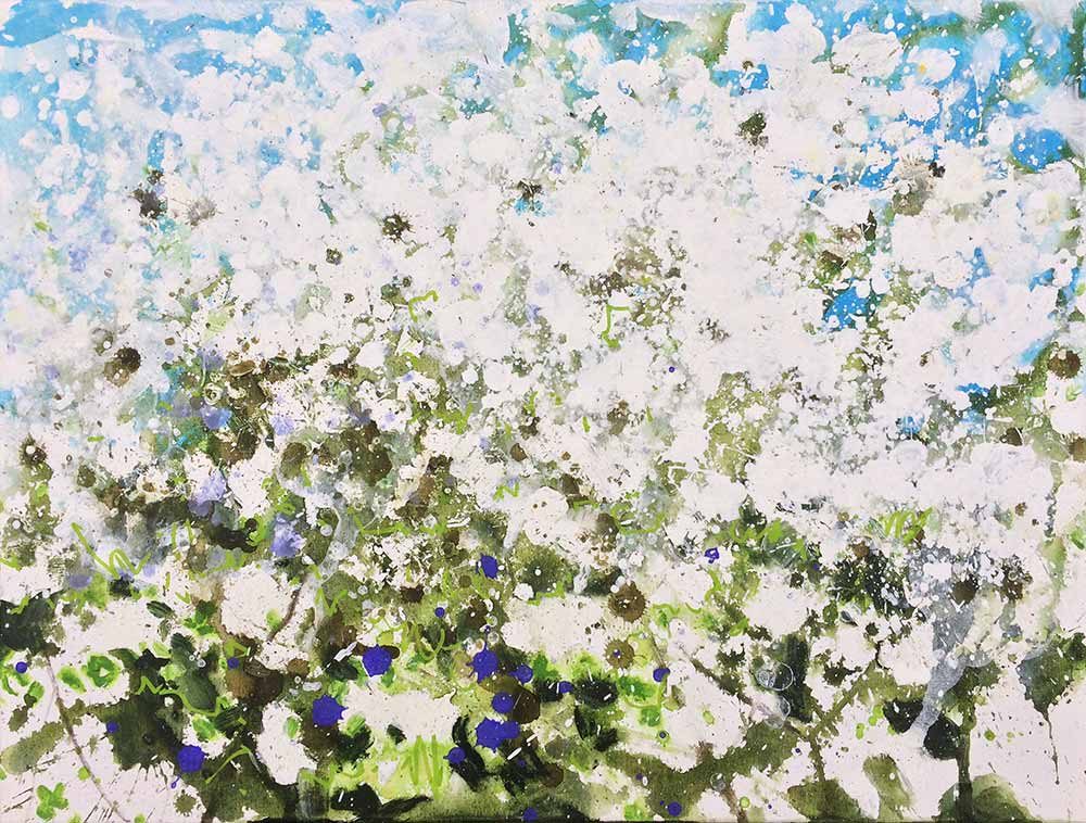Looking up through Hawthorn by Landscape Graffiti Artist Joe Webster