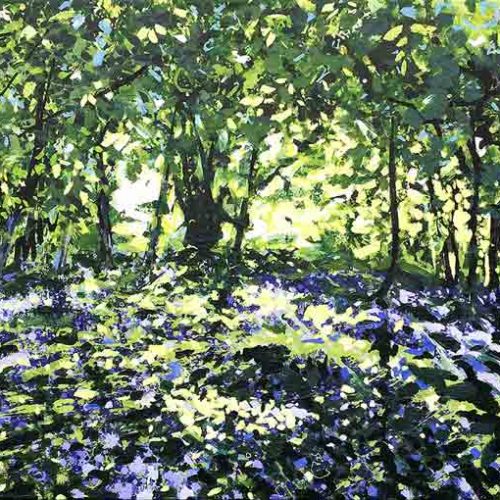 Devon Bluebell Wood
