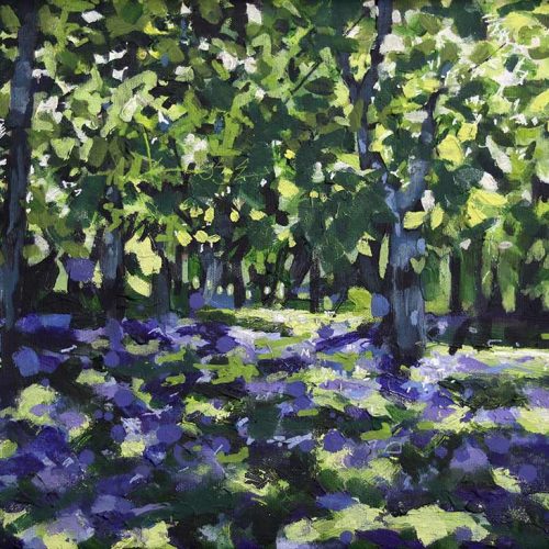 Bluebell Study