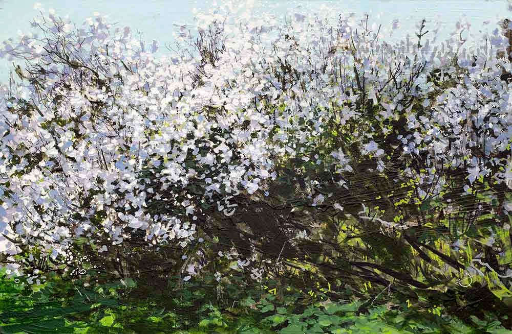 Blackthorn Shadows II by Landscape Graffiti Artist Joe Webster