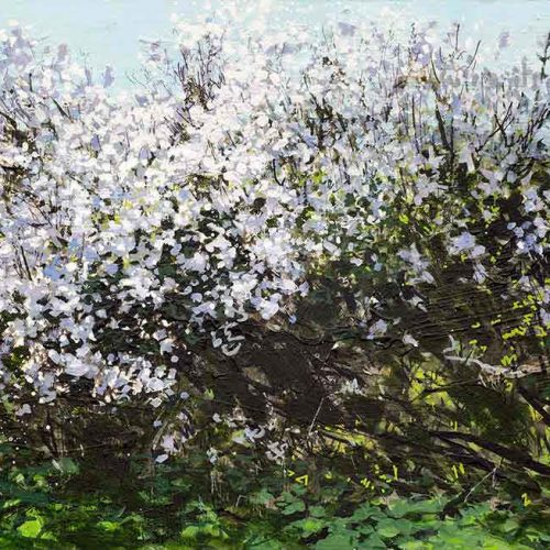 Blackthorn Shadows II by Landscape Graffiti Artist Joe Webster