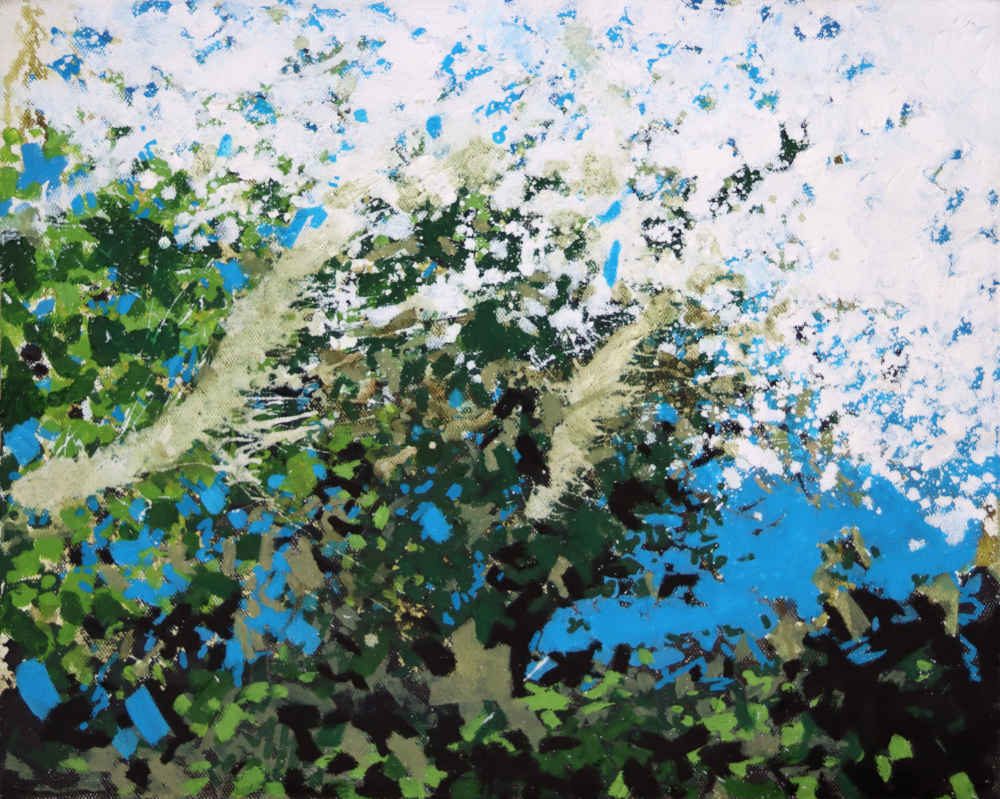 Blue Sky with Blackthorn by Landscape-Graffiti Artist Joe Webster