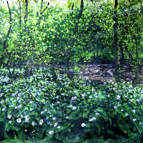 Distracted by a Damselfly by Landscape-Graffiti Artist Joe Webster
