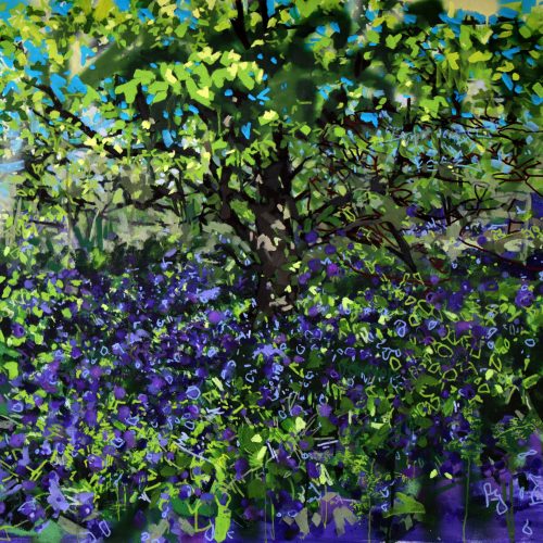 'Painting Light in-between Sycamore Shards'