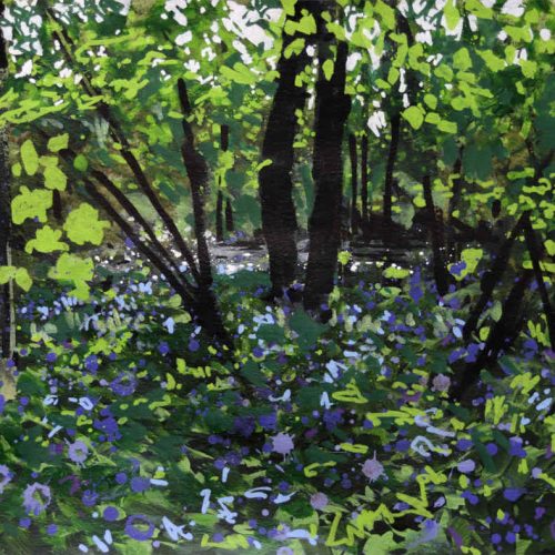 'Bluebells and Sycamore, River Lemon'