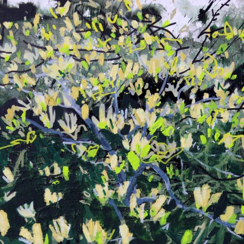 Yellow Magnolia I by Devon Landscape-Graffiti Artist Joe Webster