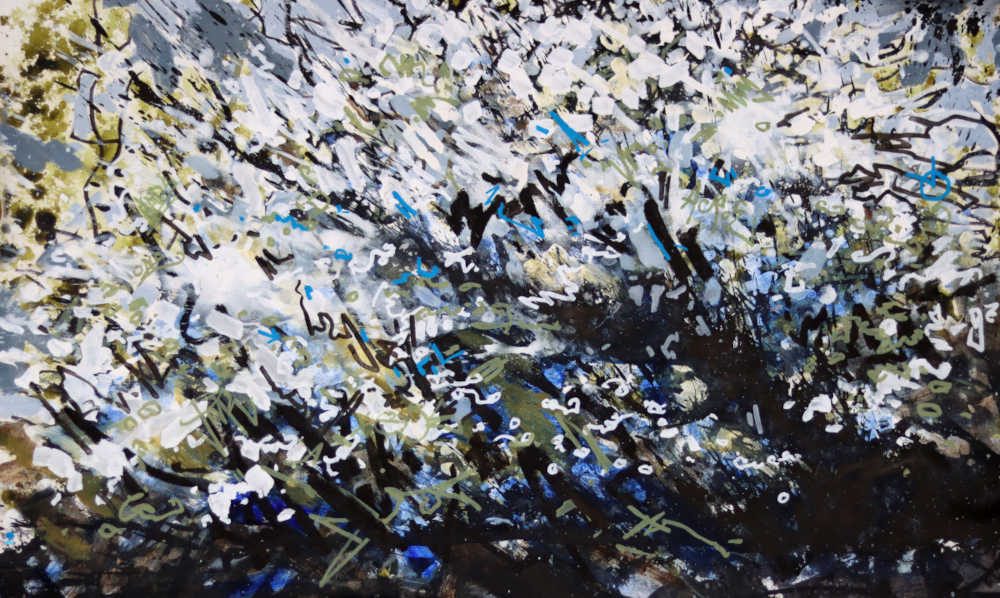 Blackthorn Blossom by Landscape-Graffiti Artist Joe Webster